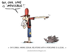 in florida having sexual relations with a porcupine is illegal
