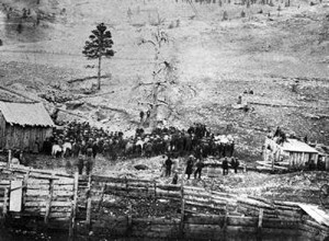 Search Results for: In The Old West Hangings