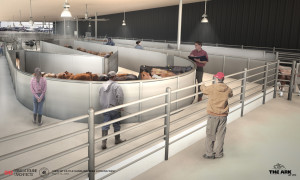 livestock export handling system, designed by Temple Grandin Livestock ...