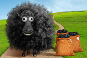 Baabaa Black Sheep