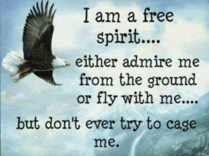 am a free spirit... either admire me from the ground or fly with me ...