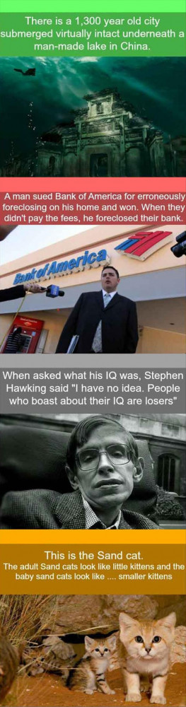 34 Mind Blowing Fun Facts!