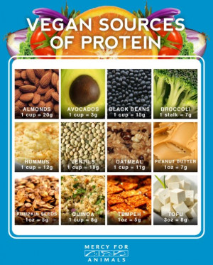 How Do Vegetarian Babies Get Protein?