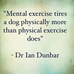 Dog Training Quotes