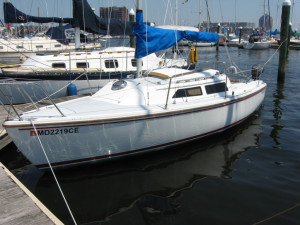 Fortuitous Dress - Lahore - Womens Clothes Pakistan