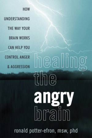 Healing the Angry Brain: How Understanding the Way Your Brain Works ...