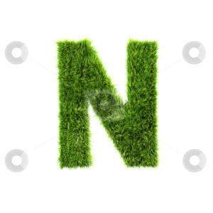 stock photo, 3d grass letter isolated on white background - N by
