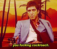 Scarface Quotes Cockroach.
