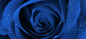 lunes, 13 de diciembre de 2010