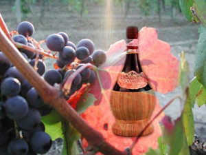 max weber bureaucratic principle