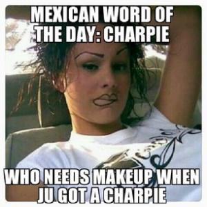 Mexican word of the day: CharpieWho needs makeup when ju got a charpie