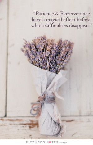 Patience and perseverance have a magical effect before which ...