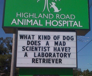 More funny signs from this vet