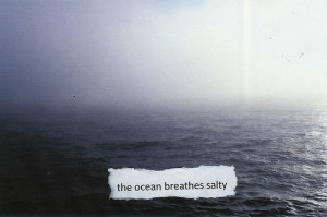the_ocean_breathes_salty_inspiring_photography_quote_quote.jpg