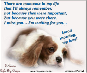 miss my dog quotes
