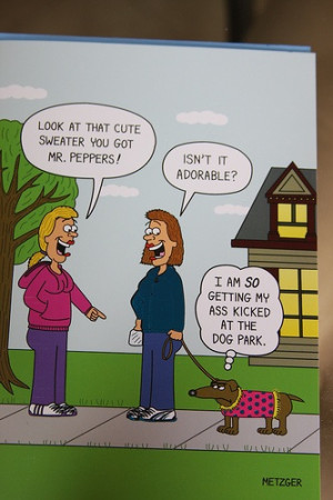 birthday quotes funny – so yesterday was my sister in law tillies ...