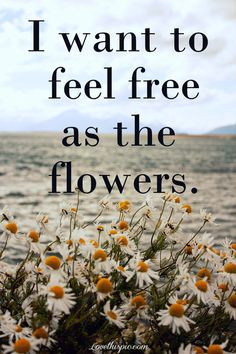 want to feel free as the flowers quote flowers life live free hippie ...