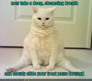 afraid I rather looked like: