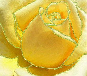 Glitter Yellow Roses