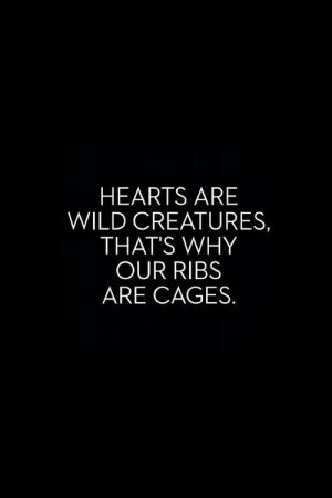Heart are wild creatures. That’s why our ribs are cages