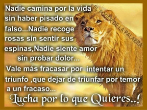 Pinned by ༺♥༻Simply SSG༺♥༻