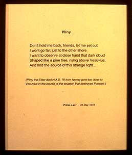 Primo Levi's quote #2