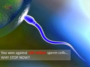 PPT Slides DIY Motivation Quotes