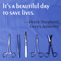 did you know the title of grey s anatomy is based on a human anatomy ...