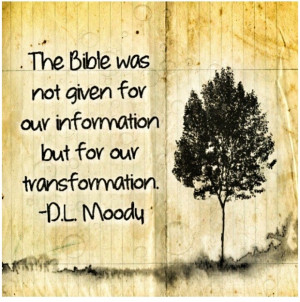 Pinned by Angela Rodriguez