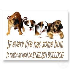 english bulldogs bulldogs facts