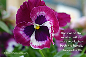 The eye of the master will do more work than both his hands ...