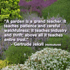 for my teacher teacher quotes my quotes teacher garden quotes