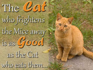 The cat who frightens the mice away is as good as the cat who eats ...