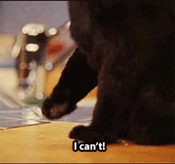 cat Sabrina the teenage witch Salem Saberhagen salem