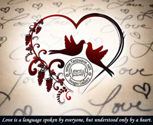 lovequotes-love-Romance-quotes-romantic-quote-love-photos-roses ...