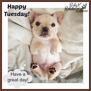 Happy Tuesday! Have a great day!