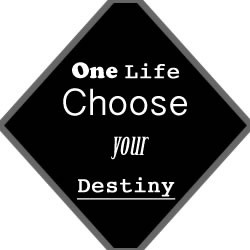 One Life Choose your Destiny