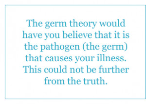 talk about the germ theory the germ theory would