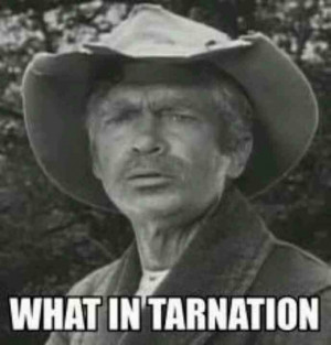 Uncle JED...BEVERLY HILLBILLIES