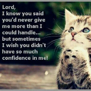 pray # prayer # truth # preach # love # wise # wisdom # cat # kitty ...