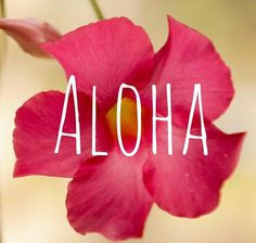 Hawaiian Quotes