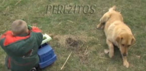 ... old found being guarded by the familys most loyalest bestest dog ever