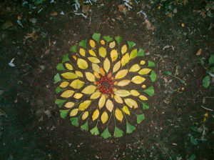 Andy Goldsworthy Rowan...