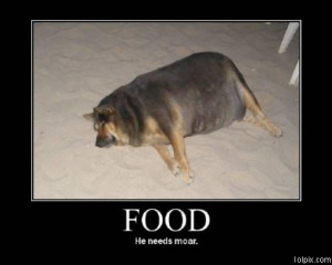 Viewing Page 6/18 from Funny Pictures 420 (Moar Food) Posted 11/6/2008