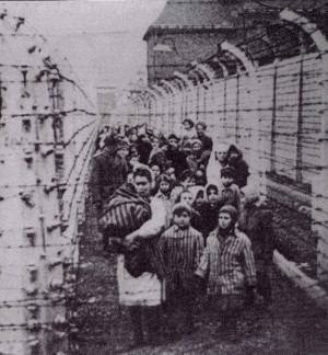 Praxis Mag: The Liberation of Auschwitz