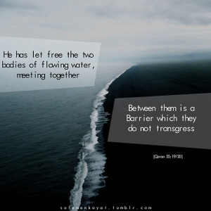 ... them a barrier which they do not transgress.” [Quran 55:19/20