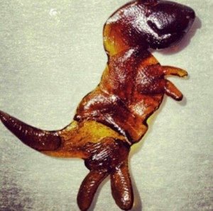 ... Rex, Trex Dinodab, Weed Wax Oil Dabs 420, Dab Wax, Hash Oil, 710 Oil