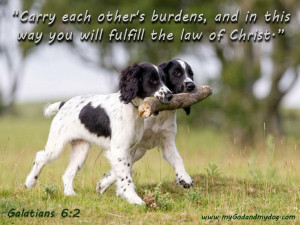 bible verses with dogs see top of bible verse photos page for limited ...