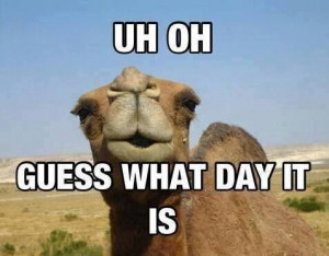 Do YOU know what day it is?? It's Alumni Wednesday!! #HumpDay