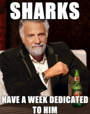 Sunday Best #13: Rules